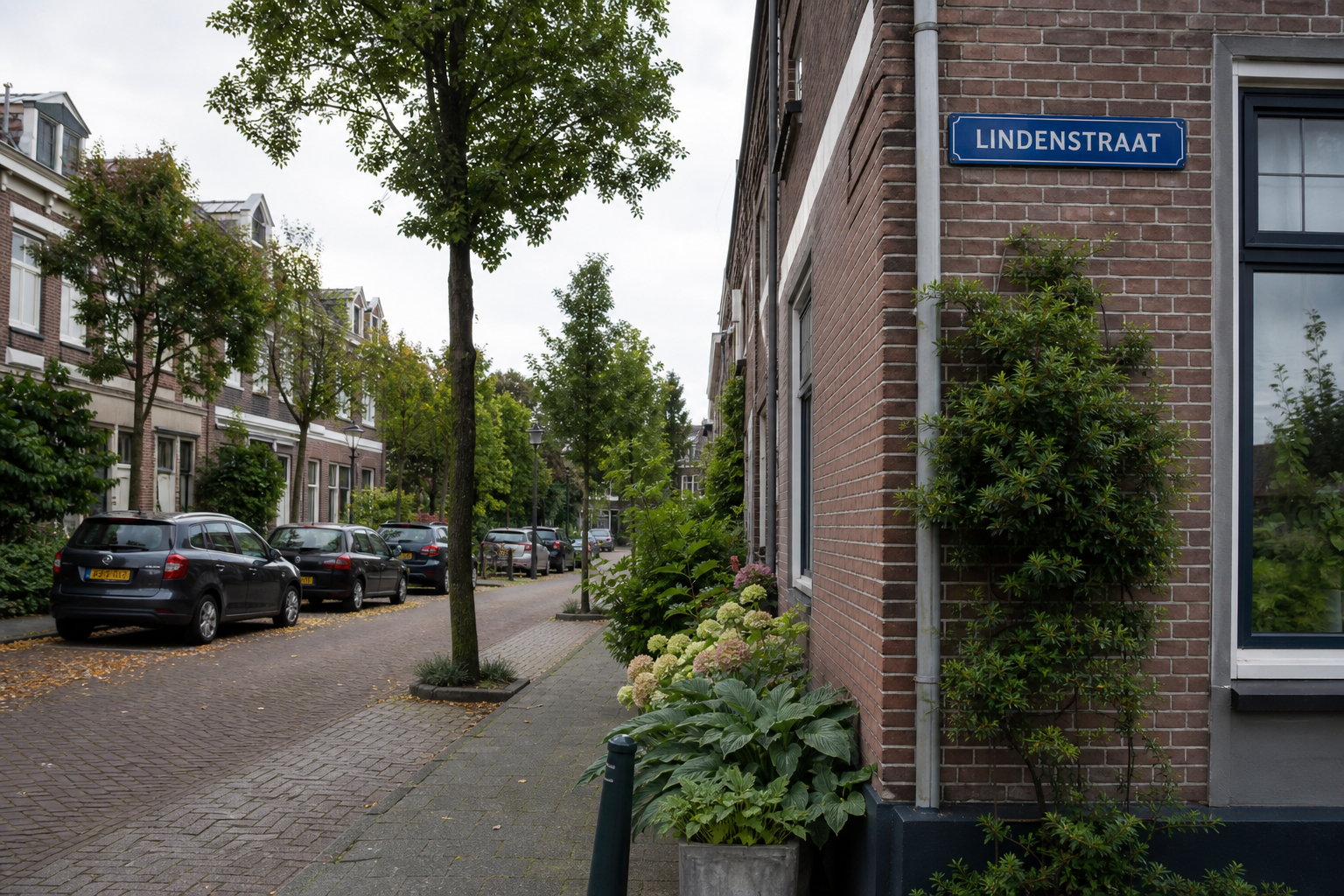 Rustige straat met straatnaambord aan een bakstenen gevel en bomen langs de stoep